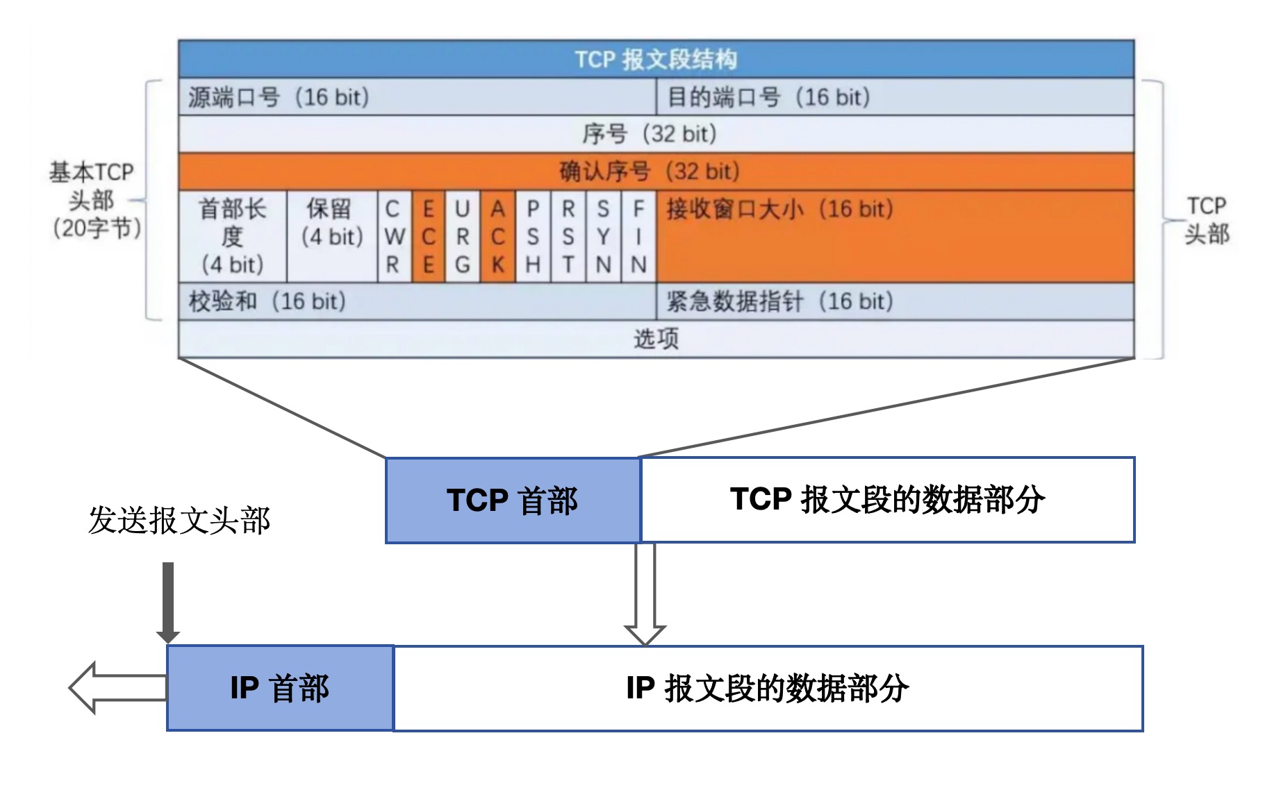 TCP协议格式